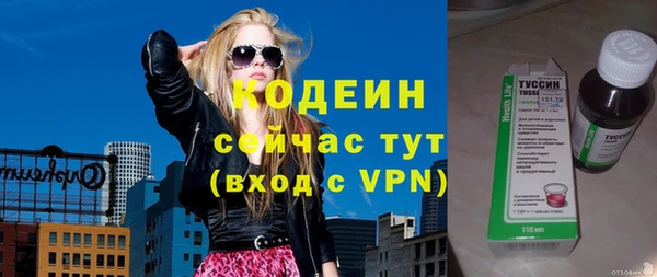 мдпв Осташков
