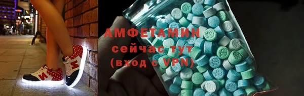 мдпв Осташков