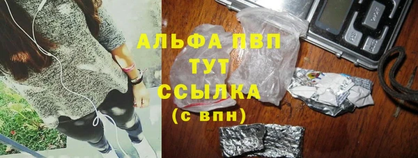 мдпв Осташков
