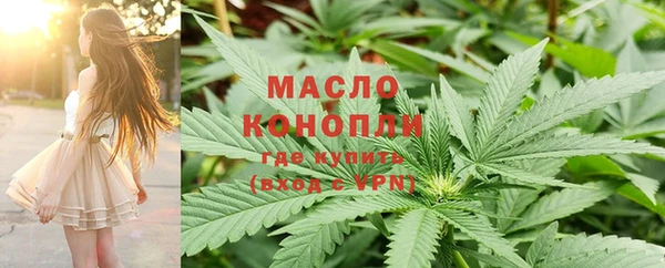 мдпв Осташков