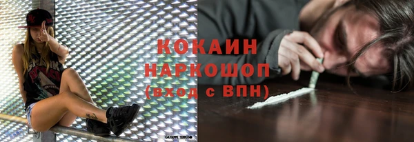 мдпв Осташков