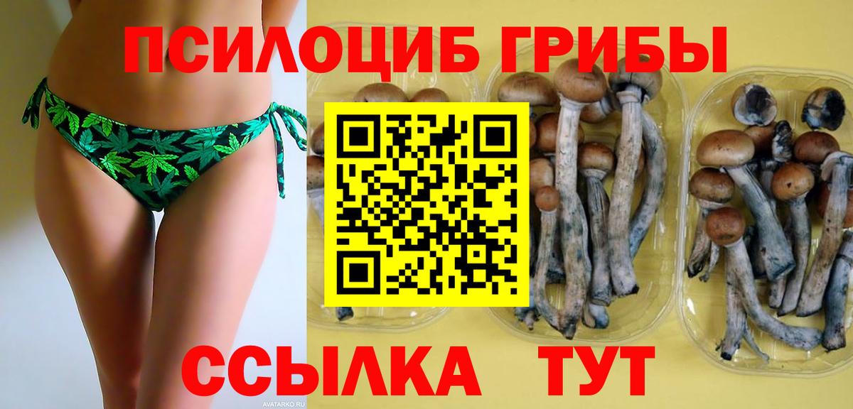 Галлюциногенные грибы Psilocybe  Галлюциногенные грибы ЛСД  Ульяновск  Вход с VPN 